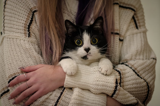Personalized Cat Lover Gifts Worth Keeping Forever