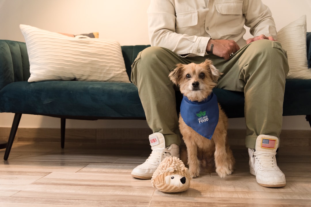 The Best Pet Photo Gift for Dog Dad This Year