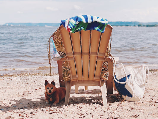 The Custom Dog Photo Beach Towel She'll Never Put Away