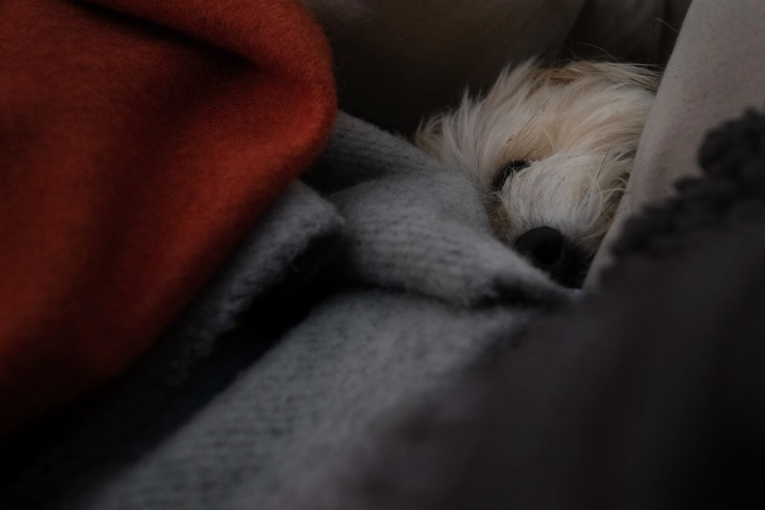 Dog Mom Gift Ideas She'll Actually Keep Forever