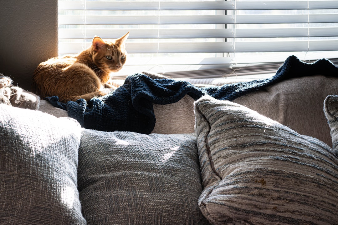 Personalized Cat Lover Gifts Worth Keeping Forever