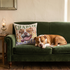 Collection image for: Pet Portrait Pillows