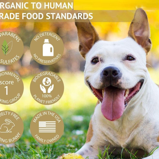 Organic Lavender Dog Shampoo: Hypoallergenic Aloe Essential Oil