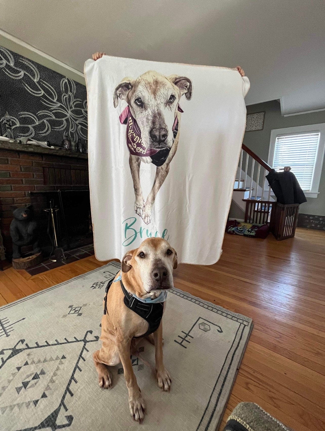 Custom Pet Blanket Using Pet Photo + Name Custom Dog Blanket Personalized Dog Blankets Cat Picture Blanket Pet Photo Blanket Dog Dad Gift
