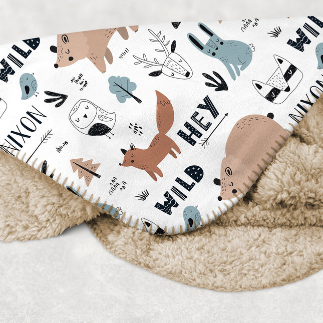Personalized Dinosaur Blanket: Minky or Sherpa Kids Blanket