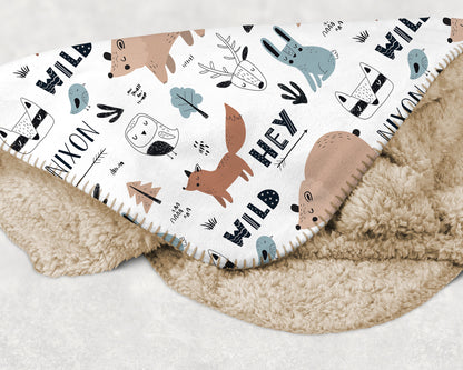 Personalized Airplane Blanket: Minky or Sherpa, Custom Kids Blanket