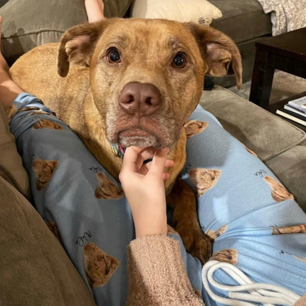 Custom Pet Portrait Pajama pants Using Pet Photo + Name - CustomCooper