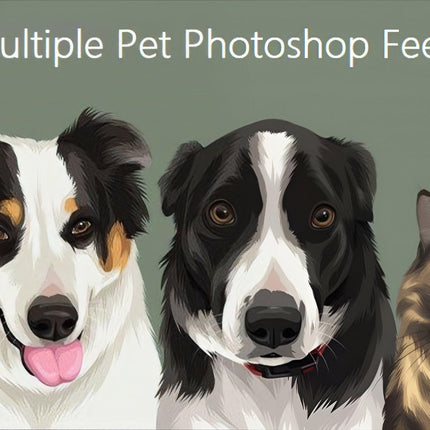 Multiple Pet Photoshop Fee