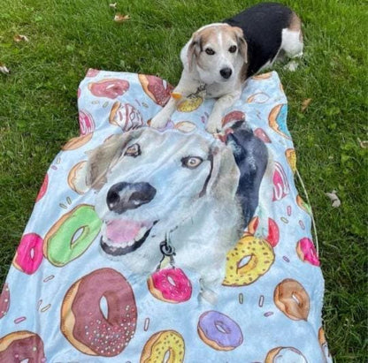 Custom Pet Portrait Beach Towel: Personalized Dog Photo Blanket