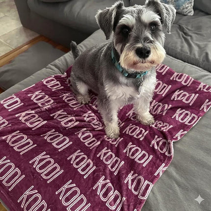 Personalized Kids Name Blanket: Custom Minky or Sherpa Fleece