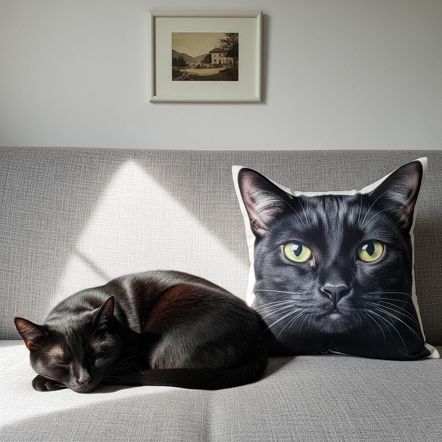 Custom Pet Pillow, Personalized Dog Cat Photo Cushion, Pet Memorial Gift