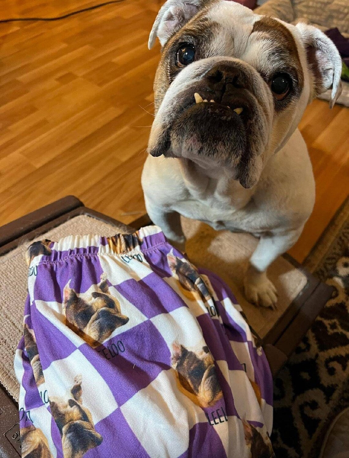 Pet Portrait Pajama pants Using Pet Photo + Name Custom Pet Personalized Pajama - CustomCooper
