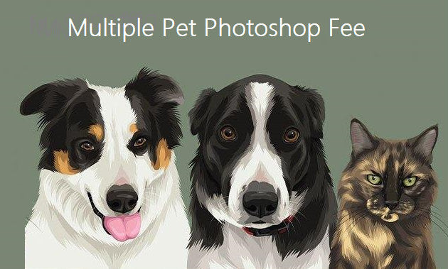 Multiple Pet Photoshop Fee